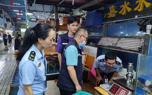 免费看傍晚福利院在线